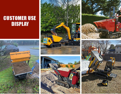 Self Loading Crawler Loader Dumper Mini 800kg Dumper with Disc Distribution Cycloid Motor